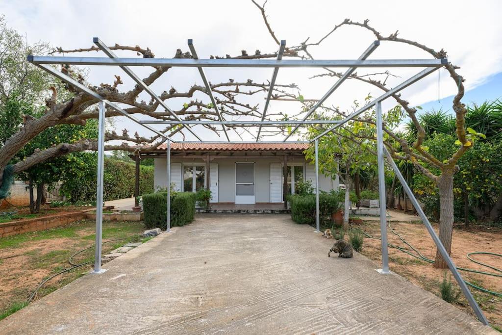 Farmbill Villa Markopoulo Mesogaias Bagian luar foto